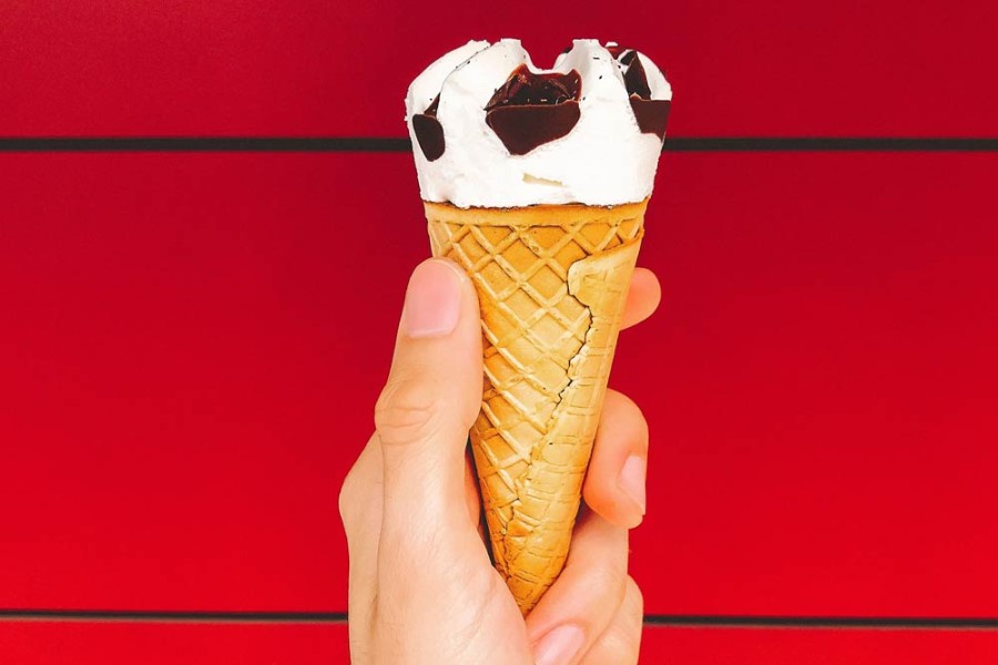 Lecit quat fringilla venen