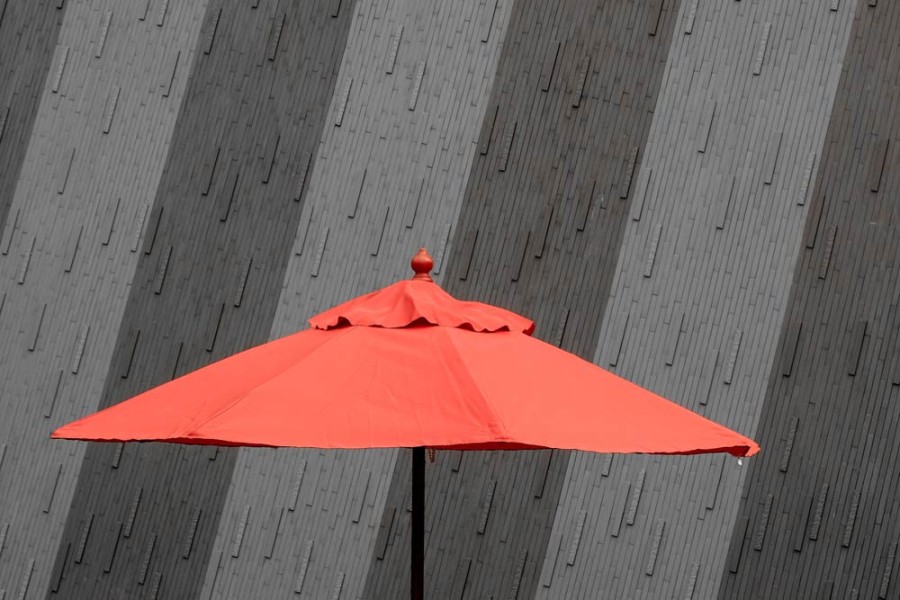 Erisque inter donec dolor