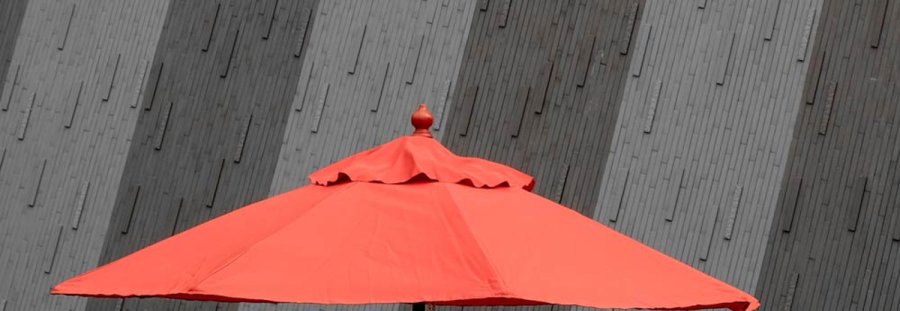 Erisque inter donec dolor