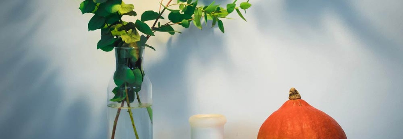 Erat tellus vel inter ...