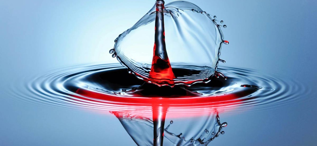 Actors lacus scel interdu