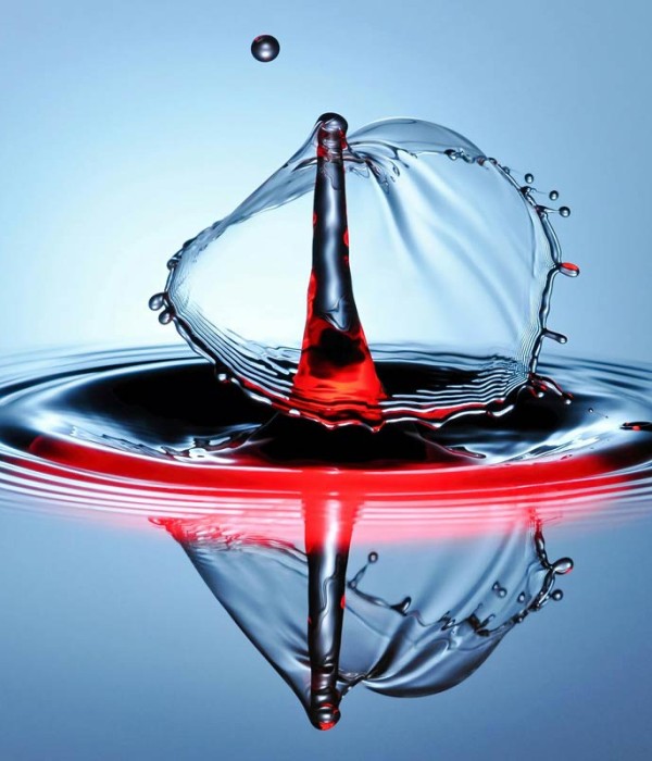 Actors lacus scel interdu