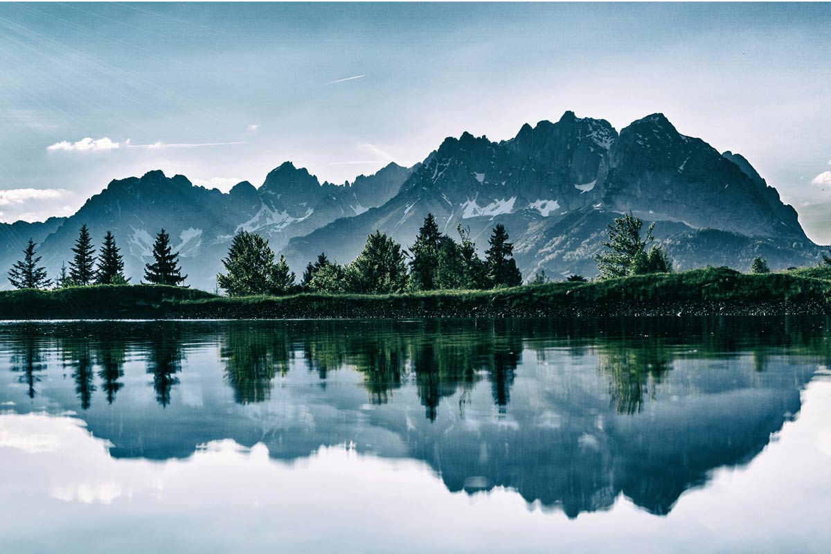 Erat tellus vel inter vitae neque